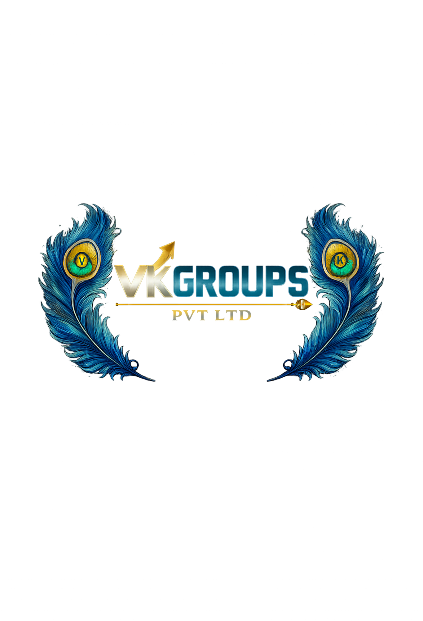 VK Groups Logo